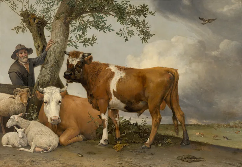 De stier van Paulus Potter: een jonge bruin-witte stier staat levensgroot in een Hollandse wei naast een liggende koe, schapen en een lam; links staat een boer bij een boom, rechts strekt een wei met koeien zich uit onder een wolkenlucht.